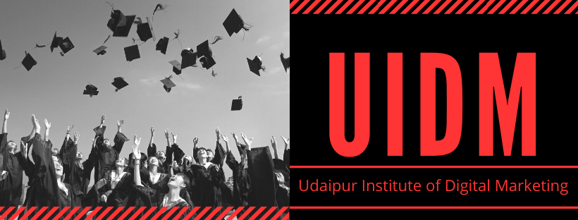 Udaipur Institute of Digital Marketing