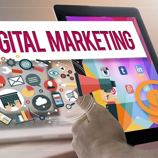 How to Become a Digital Marketing Specialist?